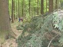 Maibaum_2018 (33)